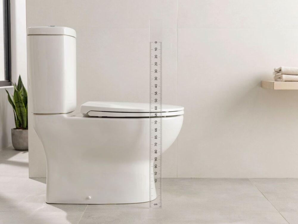 ergonomia w toalecie