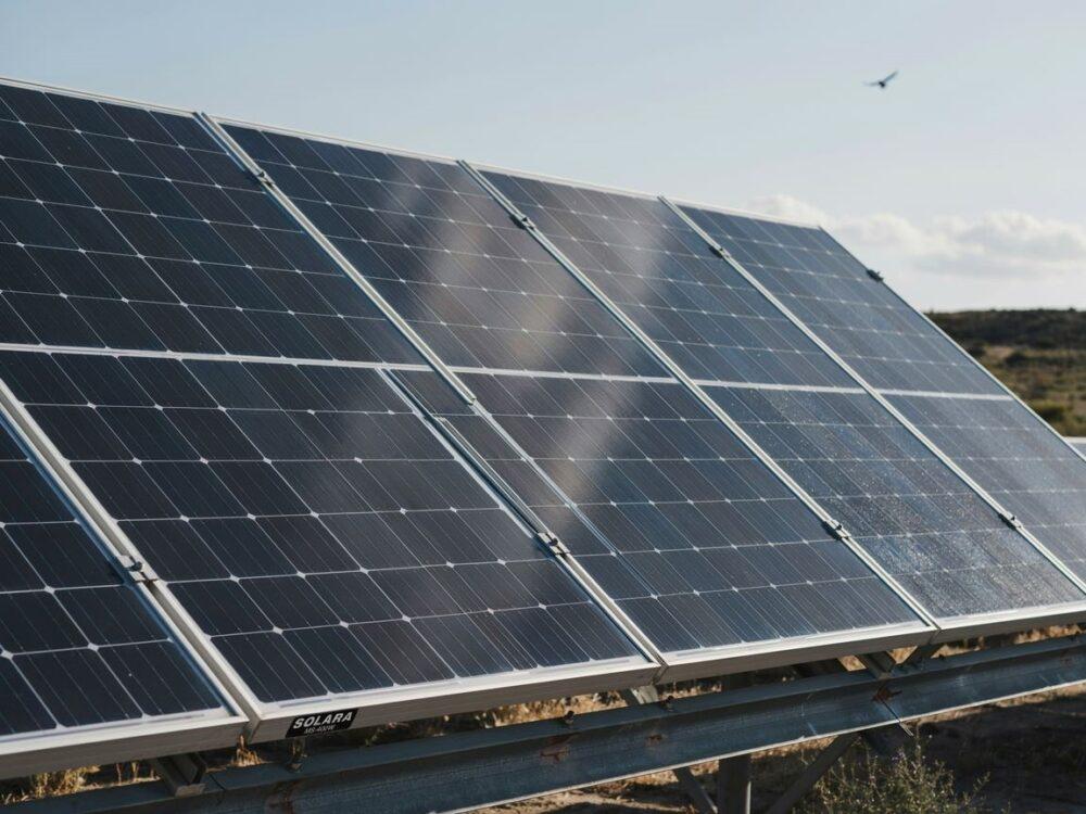 panel monokrystaliczny czarne ogniwa